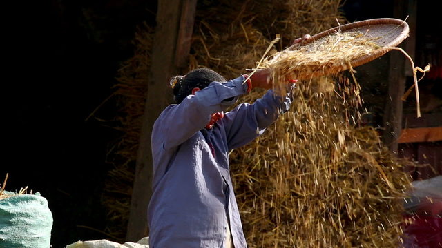Local woman sieving, bhaktapur, kathmandu, nepal