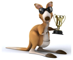 Fun kangaroo © Julien Tromeur