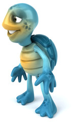 Fun turtle