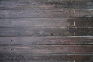 Fototapeta premium Natural Wood Texture