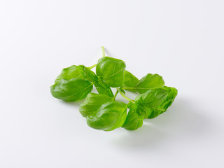 fresh basil leaves