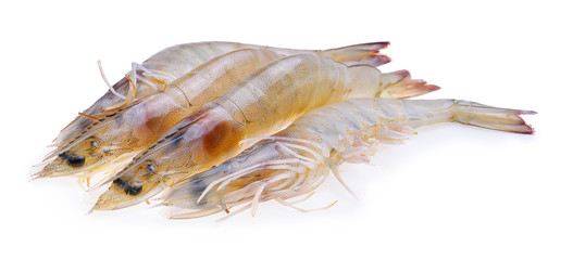 Raw shrimp on white background