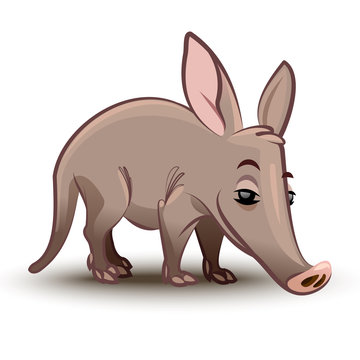 Aardvark vector illustration. A cartoon illustration of a aardvark.