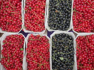 red current market