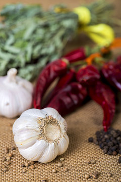 Garlic on background of various spices