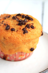 Chocolate Chip Muffin isolated on white