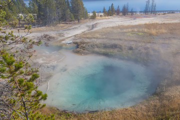 Yellowstone national park