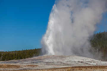 Fototapeta na wymiar Yellowstone national park