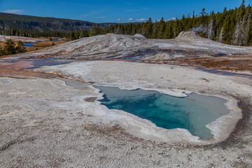 Yellowstone national park
