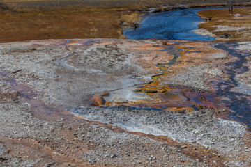 Yellowstone national park
