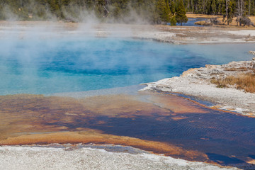 Yellowstone national park