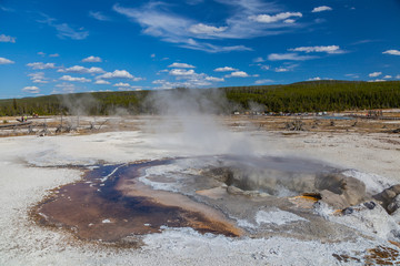 Yellowstone national park