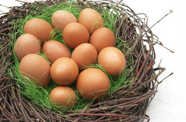 Ostern, Osternest im Schnee 