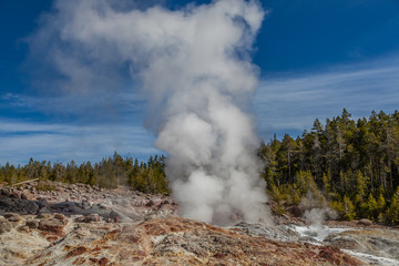 Yellowstone national park