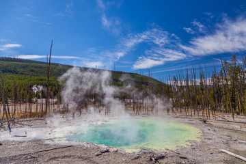 Yellowstone national park