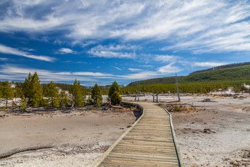 Yellowstone national park