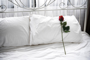 red rose lying on white pillow at bed, Romantic traditions. 