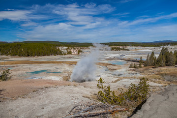Yellowstone national park