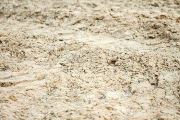 Soil dry land as a background