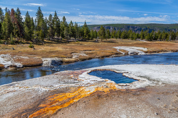 Yellowstone national park