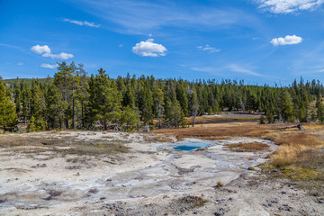 Yellowstone national park