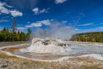 Yellowstone national park