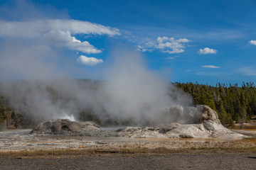 Yellowstone national park