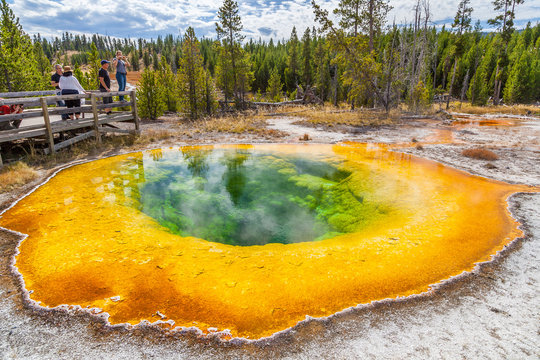 Yellowstone national park