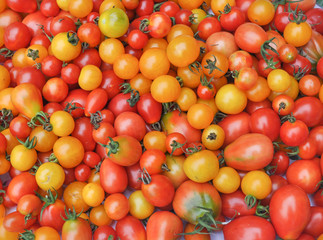 Fototapeta na wymiar Cherry tomato vegetables
