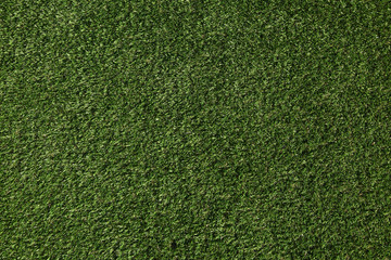 Perfect lawn with green grass view from above