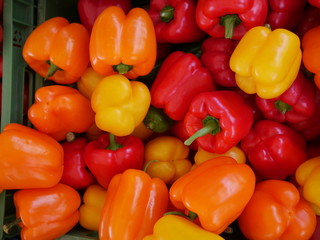 colorful bell peppers,
