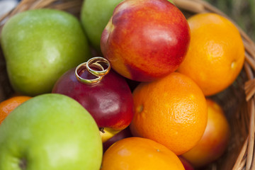 Золотые обручальные кольца лежат на разноцветных ярких фруктах - рыжих апельсинах, нектаринах, красных и зеленых яблоках