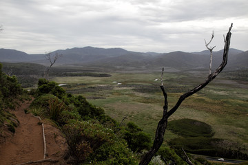 Wanderweg im Wilsons Promontory