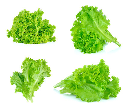 Set of Salad leaf. Lettuce isolated on white background