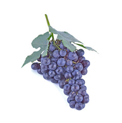 Blue grapes dry bunch isolated on white background