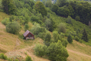 Summer Rural Landscape