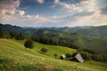 Obraz premium Summer Rural Landscape