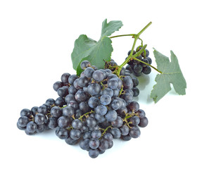 Blue grapes dry bunch isolated on white background