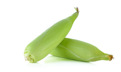 Corn isolated on a white background