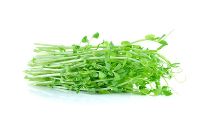 Snow Pea Sprouts on White Background