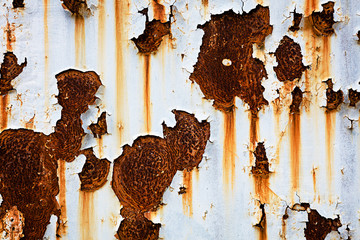 Corroded white metal background