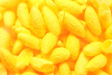 cocoon isolated on white background