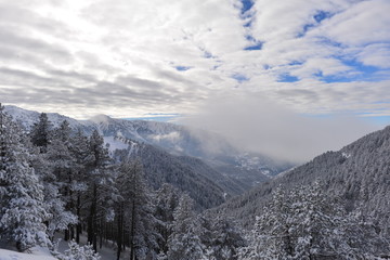 Winterlandschaft im Pontischen Gebirge Trabzon-Gümüshane