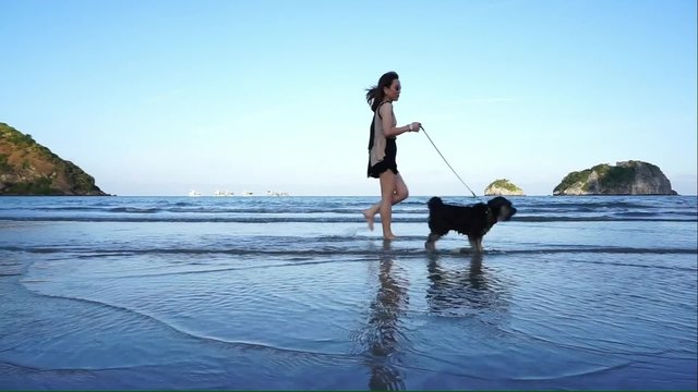 woman walking their dogs on the beach