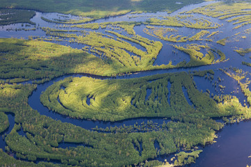 Forest river in flooding, top view