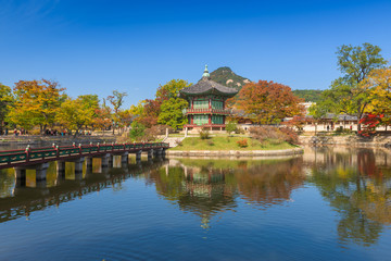Fototapeta na wymiar Autumn of Gyeongbokgung Palace in Seoul ,Korea.