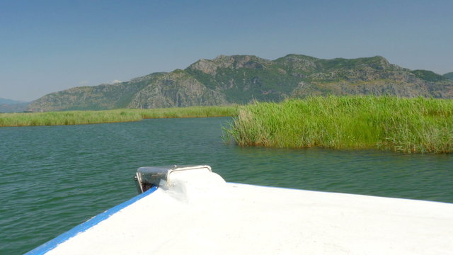 boat tour river reeds, historical dalyan, ortaca, koycegiz, turkey