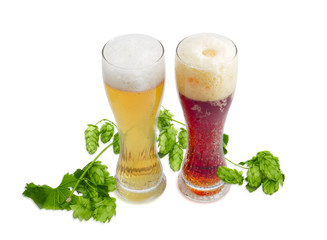 Two beer glass of various beer and branch of hops
