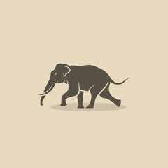 Asian elephant