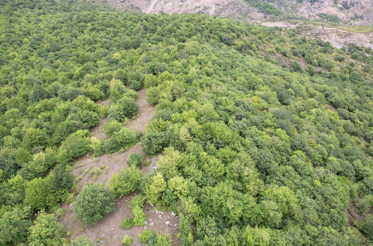 Fototapeta Forest landscape. The landscape in Armenia (Tatev). Forest in mountains top view. 